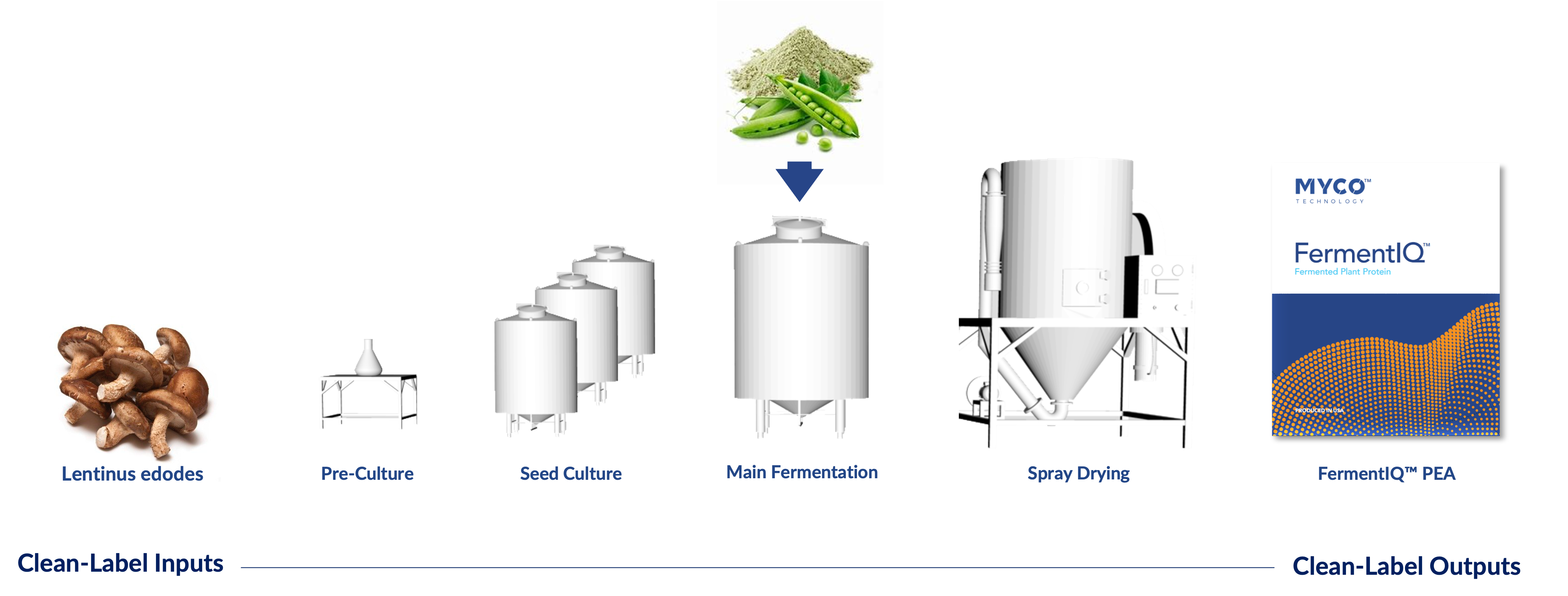myco fiq fermentation process graphic